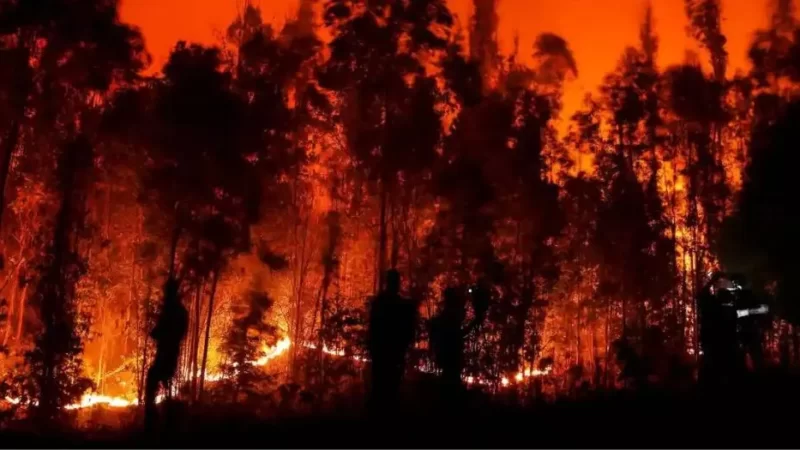 Wildfire In Chile killed 22 people