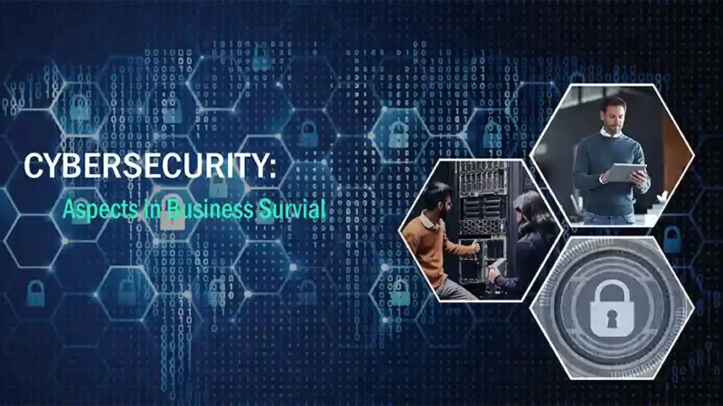 Aspect of Cybersecurity for Business Survival