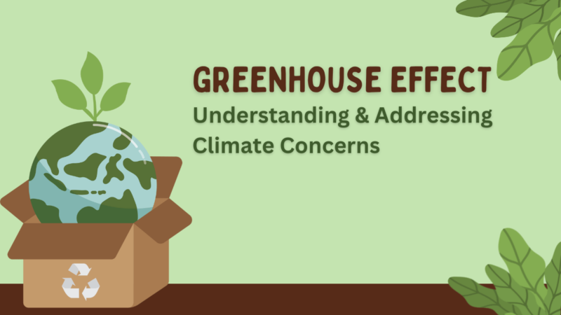 Greenhouse Effect Understanding & Addressing Climate Concerns