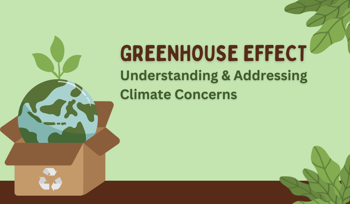 Greenhouse Effect Understanding & Addressing Climate Concerns