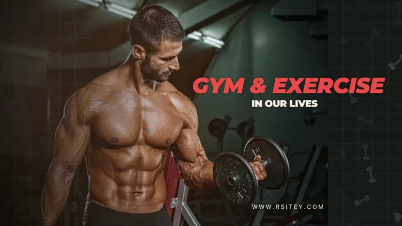 Unveiling the Profound Impact of Gym and Exercise in Our Lives